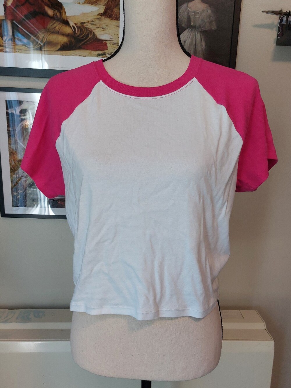 NWOT Pink/White Hollister Top